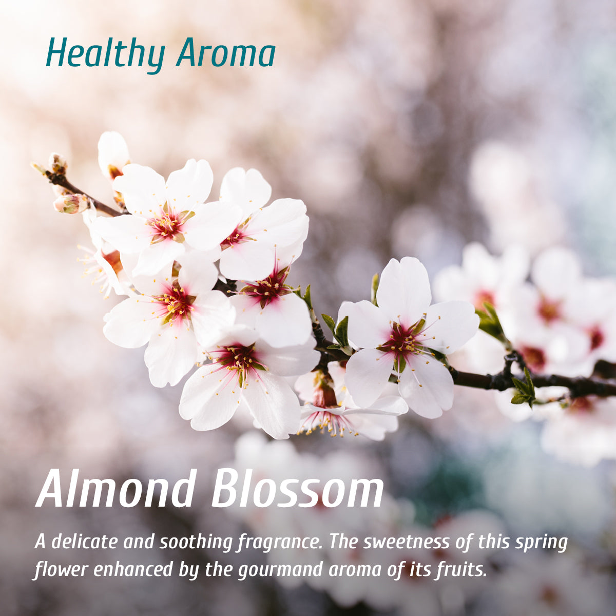 Diffuseur d'arôme fleur d'amandier
