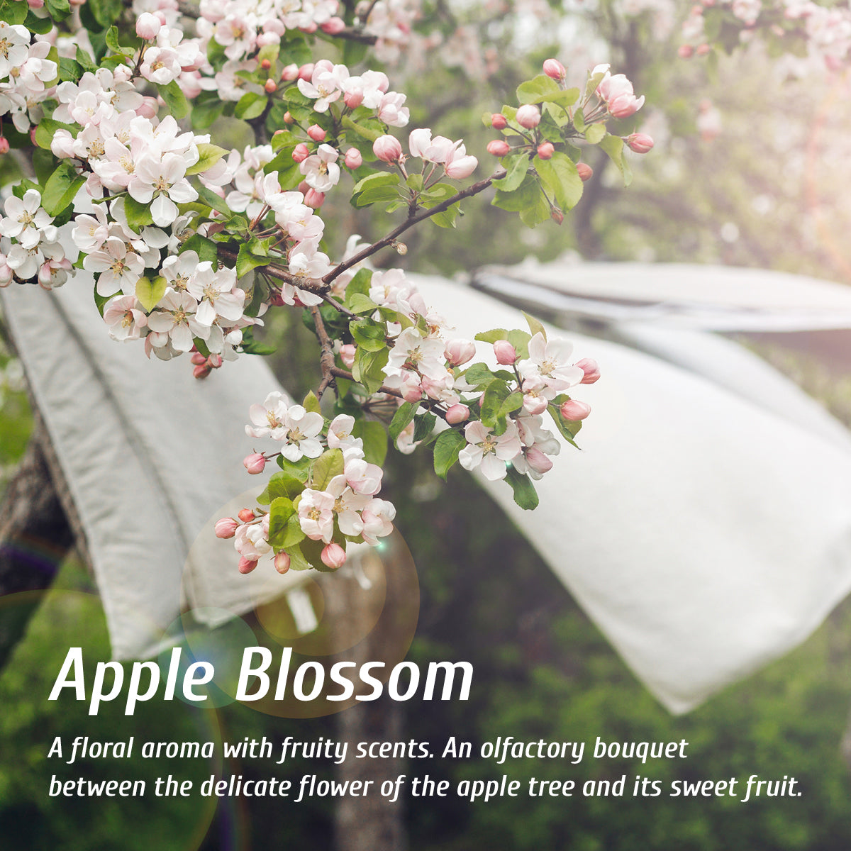 Diffuseur d'arôme fleur de pommier