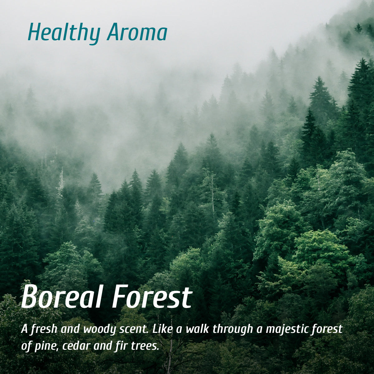 Diffuseur d'arôme forêt boréale