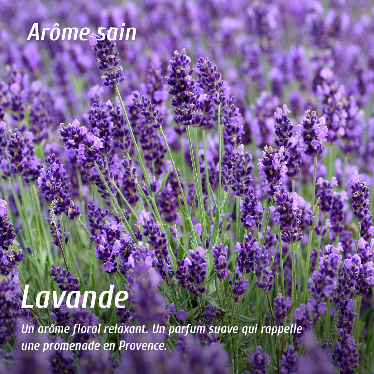 Eau de linge lavande