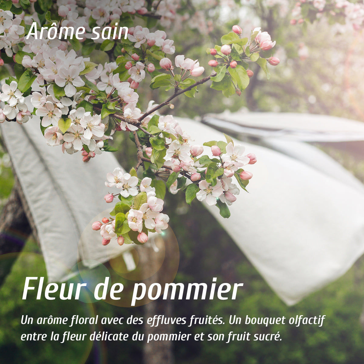 Diffuseur d'arôme fleur de pommier