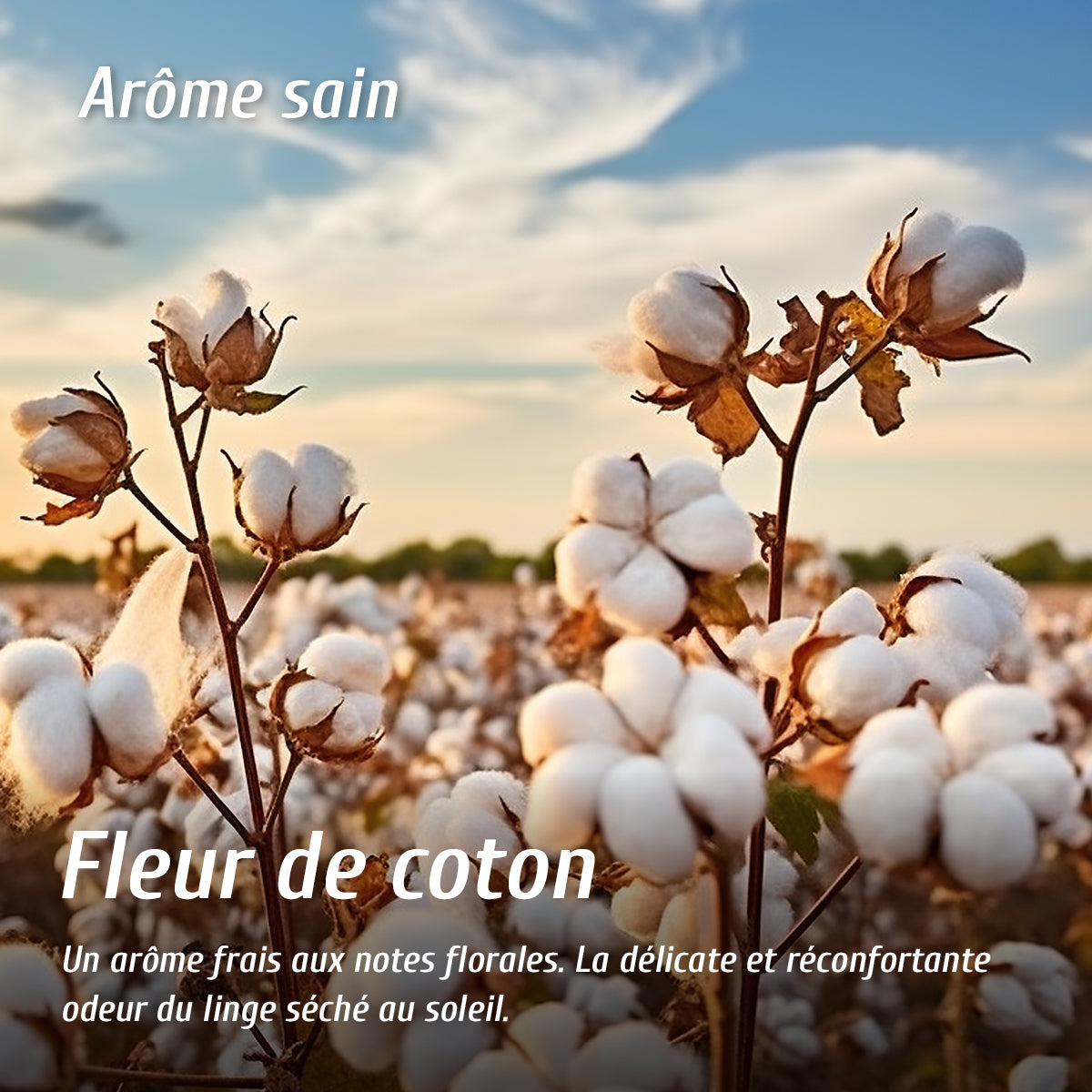 Diffuseur d'arôme fleur de coton