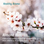 Diffuseur d'arôme fleur d'amandier