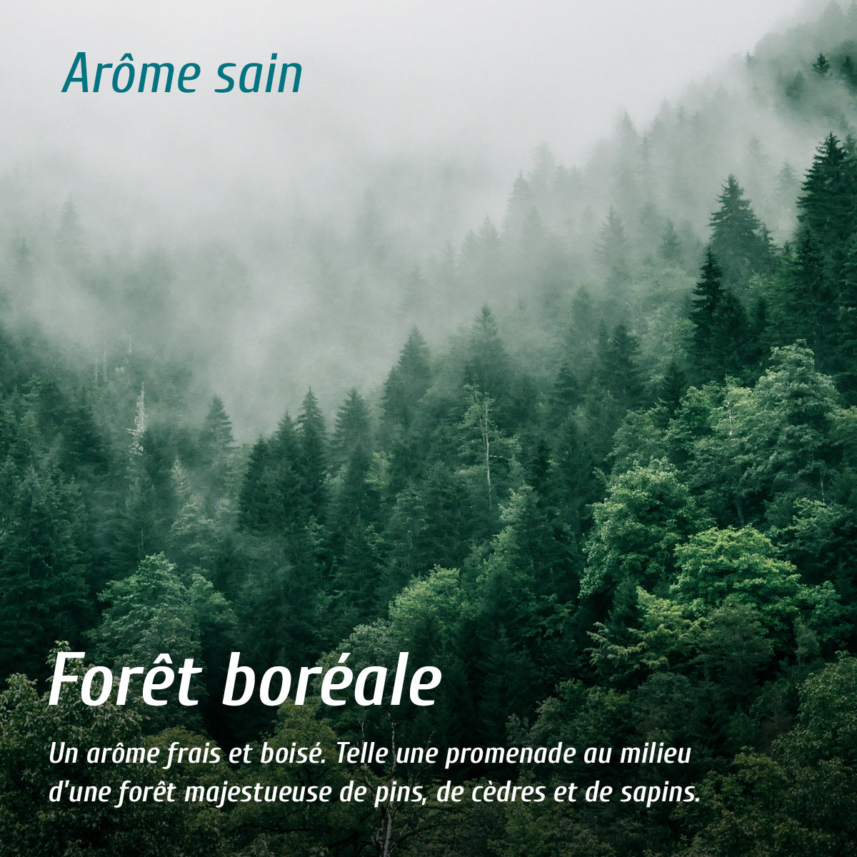 Diffuseur d'arôme forêt boréale