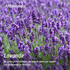Élimine odeurs lavande
