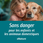 Extrait de senteur forêt boréale