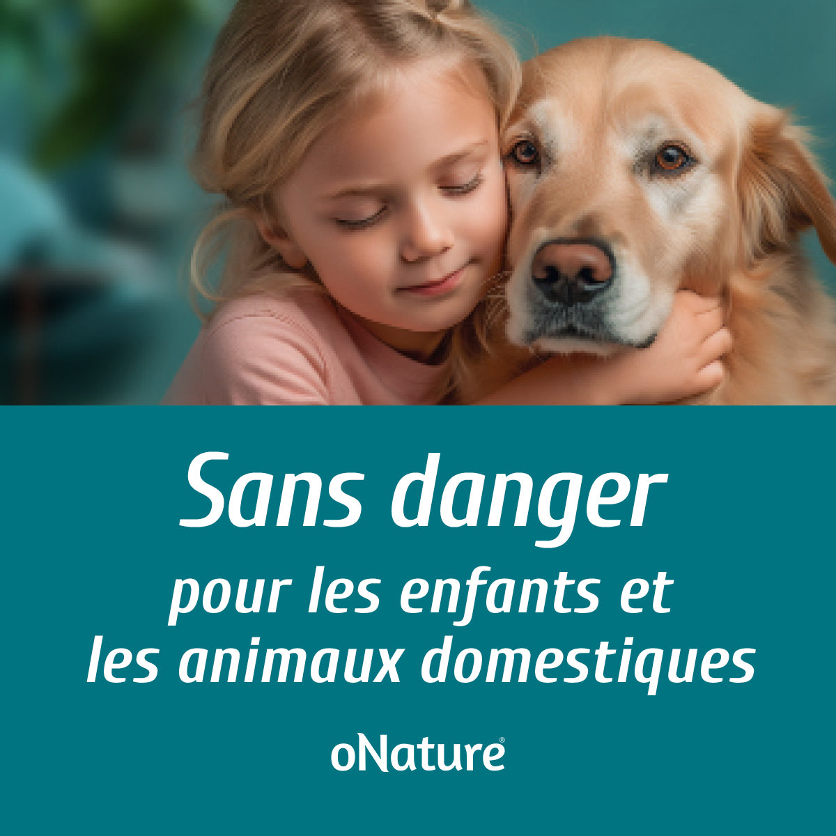 Extrait de senteur forêt boréale