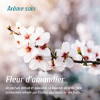 Diffuseur d'arôme fleur d'amandier