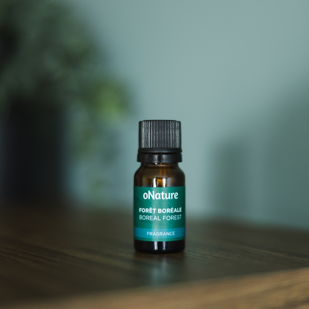 Fragrance forêt boréale