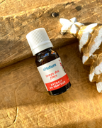 Holiday Season Scent Extract